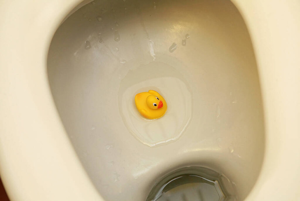 żółty kaczka guma w toalecie - Zdjęcie, obraz