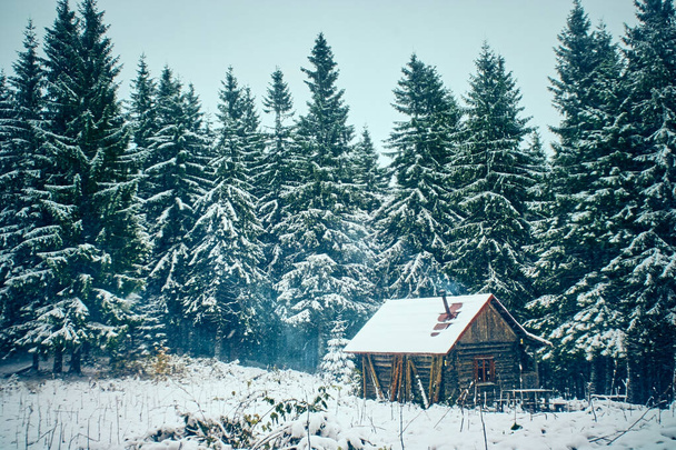 Живописный горный пейзаж в зимний сезон. Карпаты, Украина. - Фото, изображение