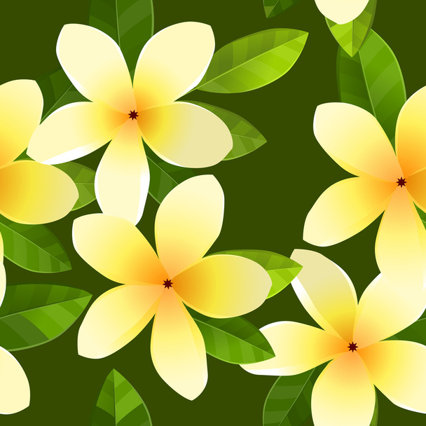 Seamless pattern with frangiapani flowers - Vektori, kuva