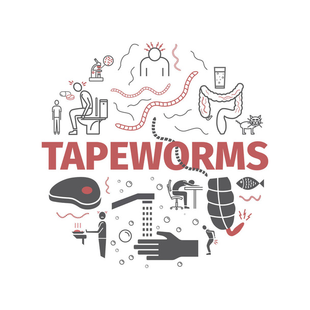 Tapeworm. Sintomi, trattamento. Serie icone di linea Segni per grafica web - Vettoriali, immagini