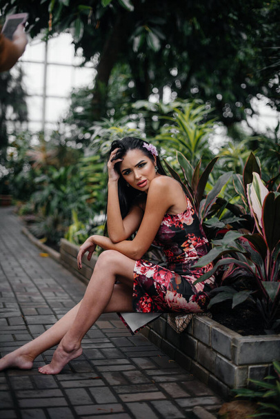 A young beautiful brunette posing among dense thickets of jungle and rainforest. Spa - Photo, Image