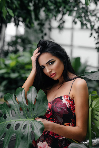 A young beautiful brunette posing among dense thickets of jungle and rainforest. Spa - Photo, image