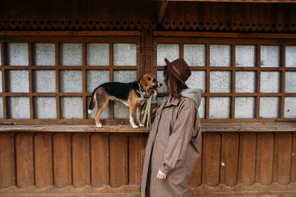 young stylish woman with an estonian hound dog - Fotografie, Obrázek