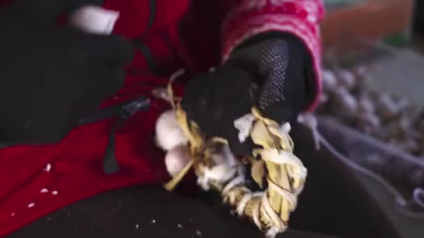 Η διαδικασία διαχωρισμού των σκελίδων του σκόρδου από το κεφάλι με ένα μαχαίρι γάντια - Πλάνα, βίντεο