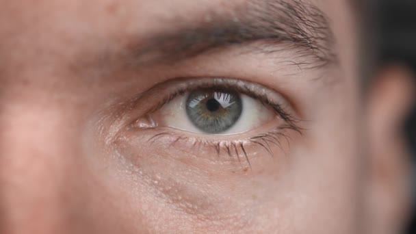 Nahaufnahme Porträt eines grauen Auges. Schöne männliche Augen, die blinzeln und in die Kamera schauen. - Filmmaterial, Video