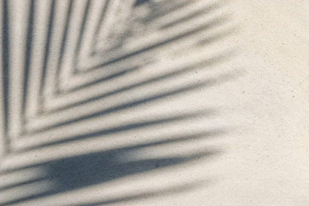 abstract background texture of shadows leaf on a concrete wall - Fotoğraf, Görsel