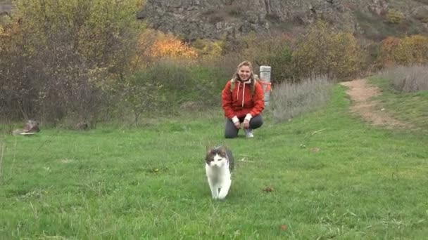 gatto senzatetto cammina direttamente alla fotocamera da un turista maturo con uno zaino sull'erba verde - Filmati, video