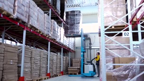 conductor del trabajador de almacén en cajas de cartón de carga uniforme por cargador de apilador de carretilla elevadora - Metraje, vídeo