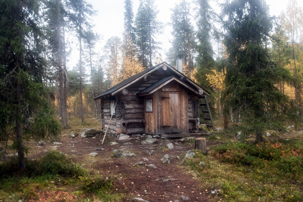 Log Cabin in in Deep Taiga Forest - Photo, Image