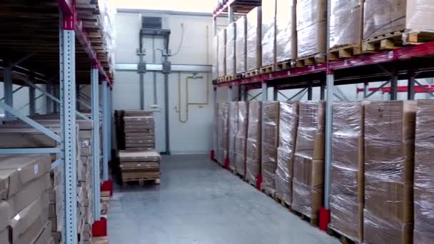 Σειρές ραφιών με κουτιά στη σύγχρονη αποθήκη - Πλάνα, βίντεο