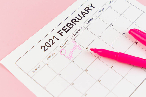 Groundhog Day concept. The word Spring is written on the calendar on the date 02 February. Pink background. Flat lay. - Photo, Image