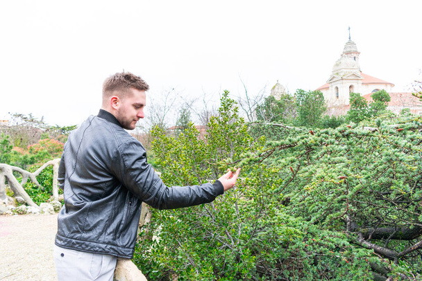 молодий чоловік торкається листя дерева в міському парку
 - Фото, зображення