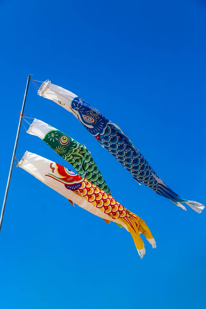 Calcetines coloridos en forma de carpa contra el cielo azul claro - Foto, Imagen