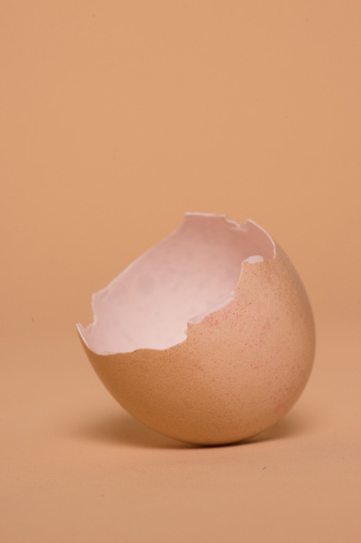 空半分壊れた卵の殻 - 写真・画像