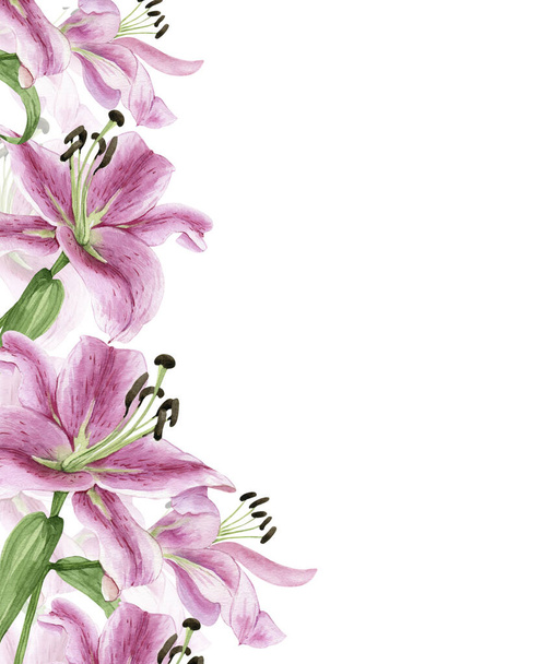 border ornament of delicate pink flowers of lilies watercolor illustration on a white background. hand painted for wedding invitations, decor and design - Foto, imagen