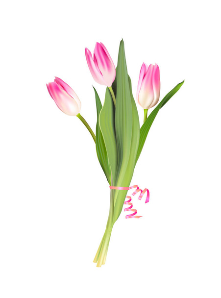 Bouquet de fleurs de tulipe rose vectoriel avec ruban rose isolé sur fond blanc - Vecteur, image