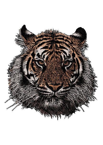 tygří hlava vektorové ilustrace na bílém pozadí - Vektor, obrázek