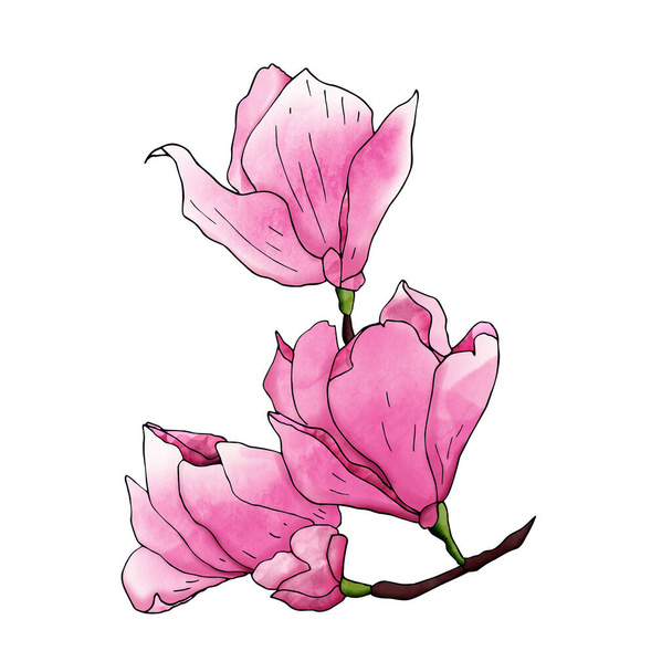 Blooming pink magnolia twig for decorating , leaflets, web, souvenirs, design, print, wrapping. - Fotó, kép