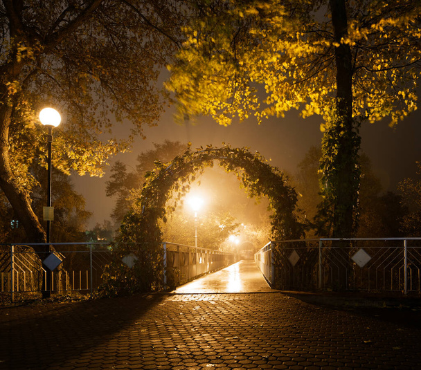 avondwandeling door de straten van de stad 22 september 2015 Gomel, Belarus - Foto, afbeelding