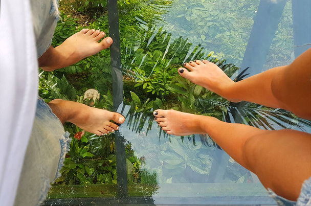 Piernas masculinas y femeninas de pie sobre un puente transparente sobre árboles tropicales verdes. Hombre y mujer tomando fotos de sus pies sobre las selvas. Pareja feliz en el puente de cristal. Amor, viajes, vacaciones juntos - Foto, Imagen