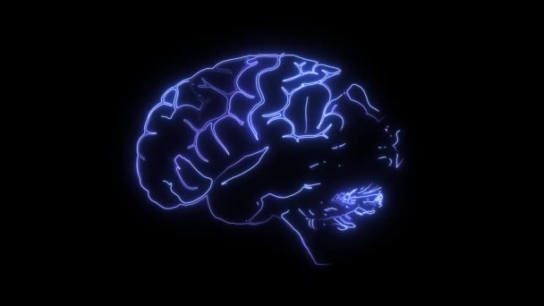 Mózg w niebezpieczeństwie. Cyfrowy mózg staje się czerwony. Zaburzenia psychiczne, rak, demencja i zwyrodnienie mózgu. Mózg, widok z boku odizolowany i świecący na czarnym tle - Materiał filmowy, wideo