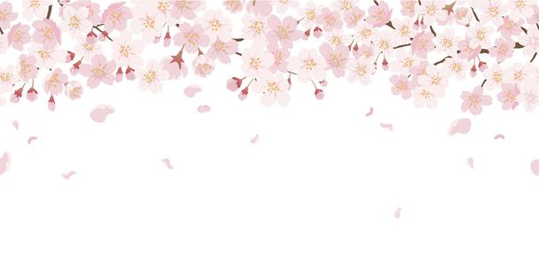 Fondo floral sin costuras con flores de cerezo en plena floración aislado sobre un fondo blanco. Ilustración vectorial con espacio de texto. Horizontalmente repetible. - Vector, Imagen