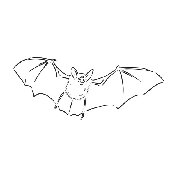 Bat Free Stock Vectors