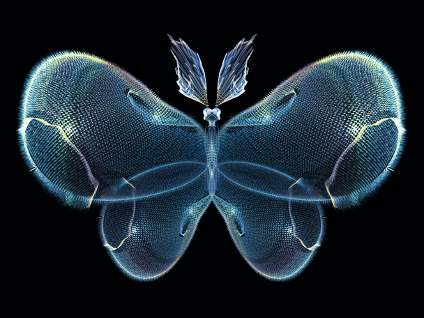 Cool Butterfly - Foto, imagen