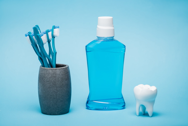 Toothbrushes, mouthwash and white model of tooth on blue background - Zdjęcie, obraz