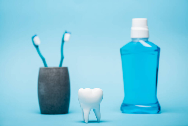 Model of tooth near toothbrushes and mouthwash on blurred background on blue background - Фото, изображение