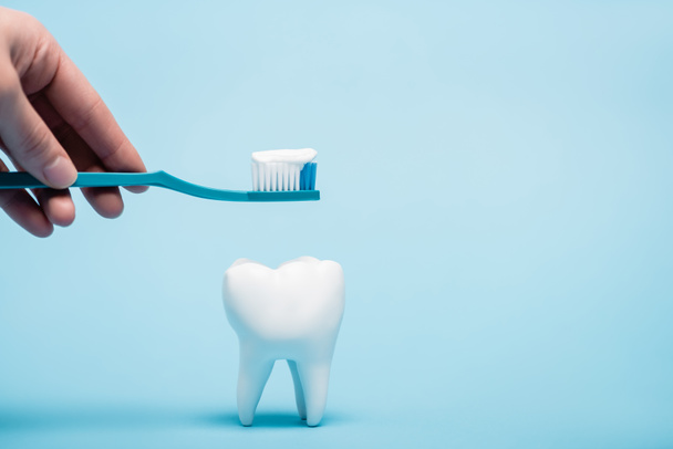 Vista recortada de la mujer sosteniendo pasta de dientes y cepillo de dientes cerca del modelo de diente sobre fondo azul - Foto, Imagen