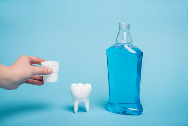 Oříznutý pohled na ženu držící víčko v blízkosti zubního modelu a láhev ústní vody na modrém pozadí - Fotografie, Obrázek