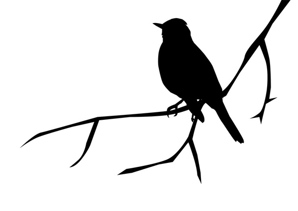 Ptáci - Vektor, obrázek