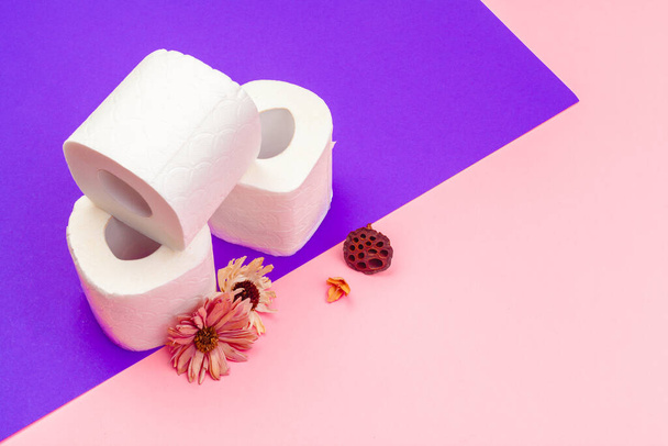 White toilet paper rolls on bright color block background - Foto, afbeelding