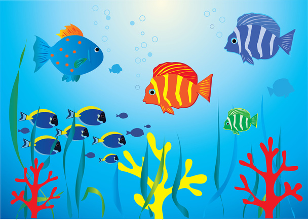 Fish Aquarium - Vector, Image