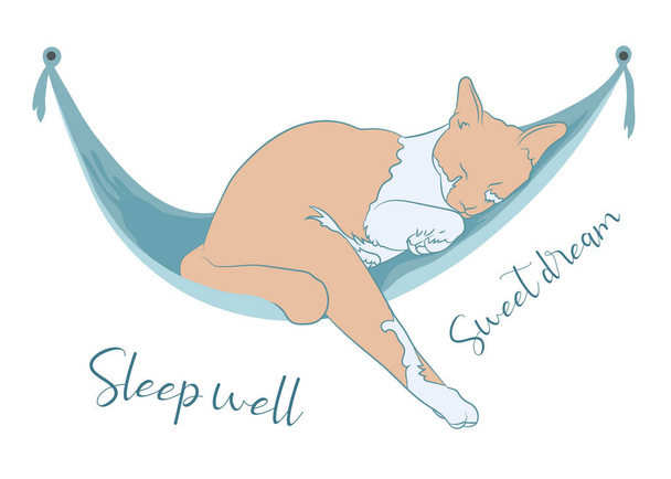 Ginger macska aludni boldogan zöld függőágy szöveges, aludni jól és édes álom, elszigetelt fehér háttér. vektor illusztráció. - Vektor, kép