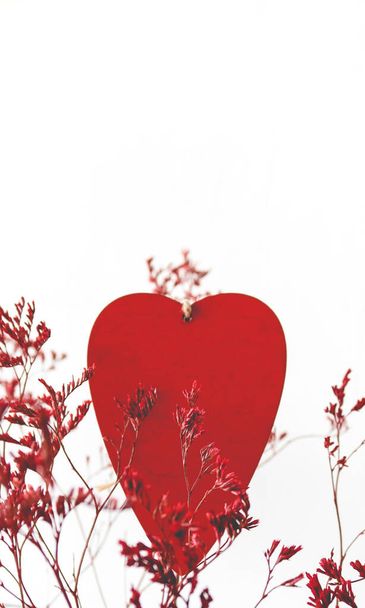Kurumuş kırmızı çiçeklerin üzerindeki kırmızı ahşap kalp. Beyaz arka plan. Sevgililer Günü için mükemmel.. - Fotoğraf, Görsel