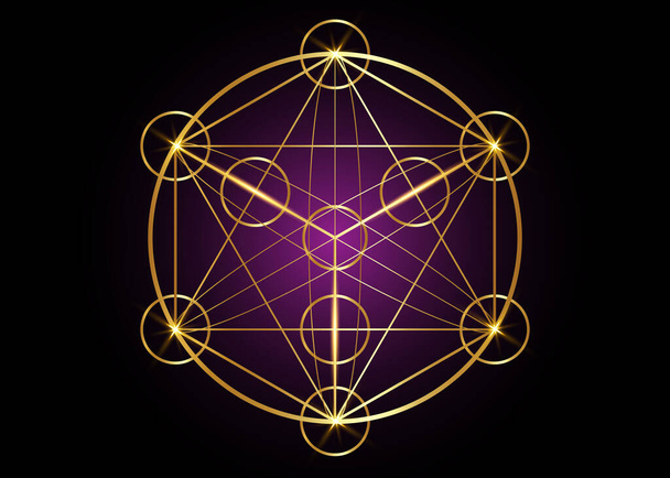 Metatrons Cube,  Flower of Life. Sacred geometry, graphic element magic hexagram. Gold Vector isolated. Mystic icon platonic solids, abstract geometric drawing, typical crop circles on black purple  - Vector, Image