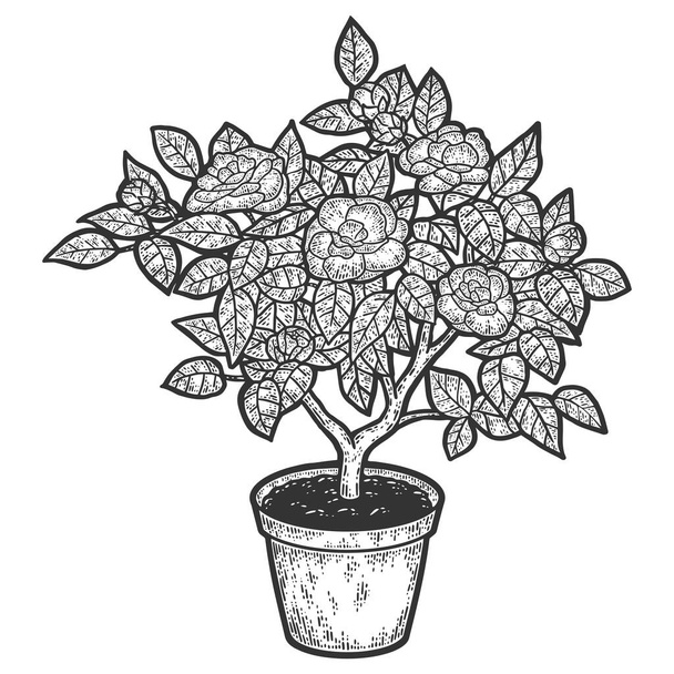 Arbre en fleurs dans un pot. Illustration vectorielle de gravure. Croquis - Vecteur, image