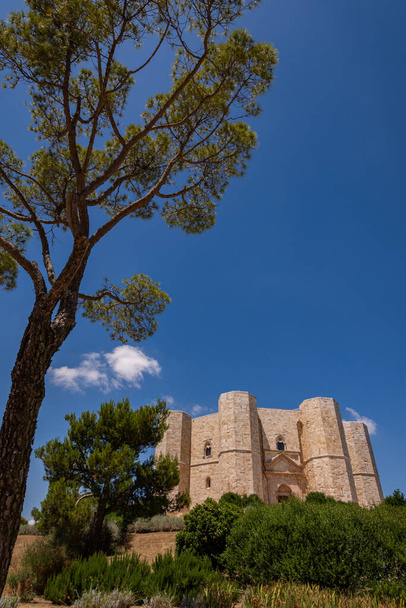 アンドリア、プーリア、モンテの城。モンテ城(Castel del Monte)は、ローマ帝国皇帝フリードリヒ2世がプーリア州マーゲ西部の台地に建てた13世紀の要塞である。. - 写真・画像