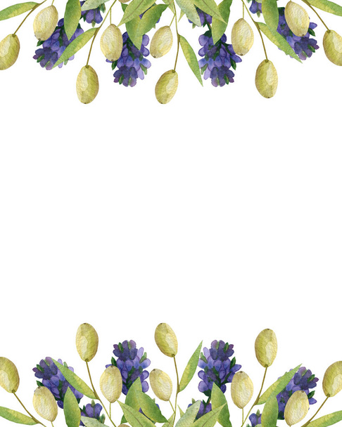 Watercolor hand painted nature provence banner border frame with purple lavender flowers and green olives branches bouquet on the white background for invite and greeting card with space for text - Foto, Imagem
