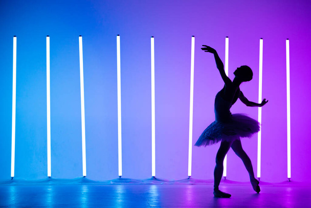 Portrait of a young ballerina on pointe shoes in a white tutu against background of bright neon lights. A young graceful ballet dancer in graceful pose. Silhouette. Ballet school poster. - 写真・画像