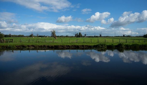 Panorama farmland cow field reflection at old historic Windmills at Kinderdijk Molenlanden South Holland Netherlands - Фото, зображення