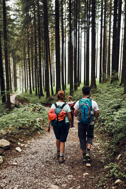 Family with backpacks hiking in a mountains actively spending summer vacation together walking down a forest path. Active people spending time outdoors in a forest - Foto, Bild