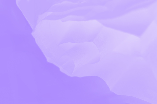 Tejido violeta con fondo flotante, color suave - Foto, imagen
