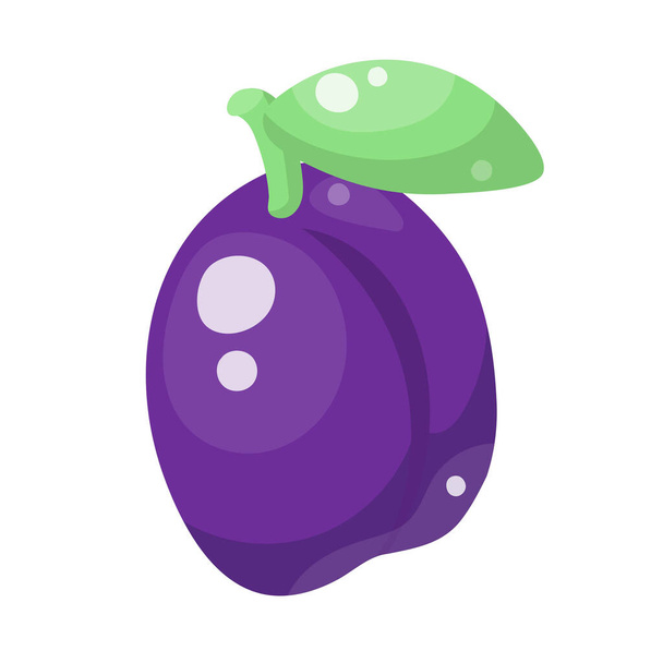 Fresh juicy violet plum fruit with bright green leaf isolated on white background. Vector illustration. - ベクター画像