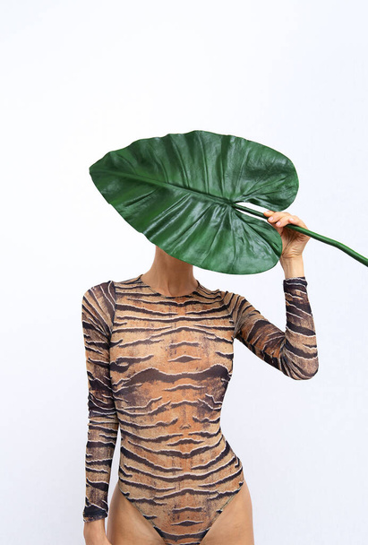 Неузнаваемая женщина держит пальмовый лист в костюме тигра. Дикая творческая концепция тропических джунглей. Эко-минималистские модные детали - Фото, изображение