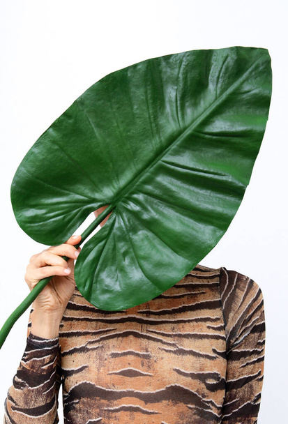 Unrecognizable model holding palm leaf in fashion tiger bodysuit. Tropical jungle wild creative concept.  Eco Minimalist fashion details - Foto, Imagen