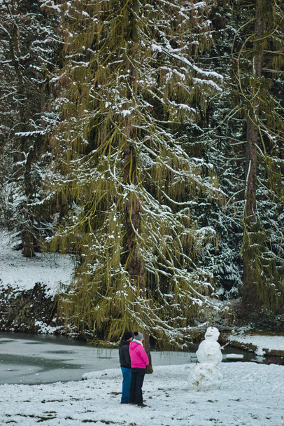 Pruhonice Park lumen alla - Valokuva, kuva