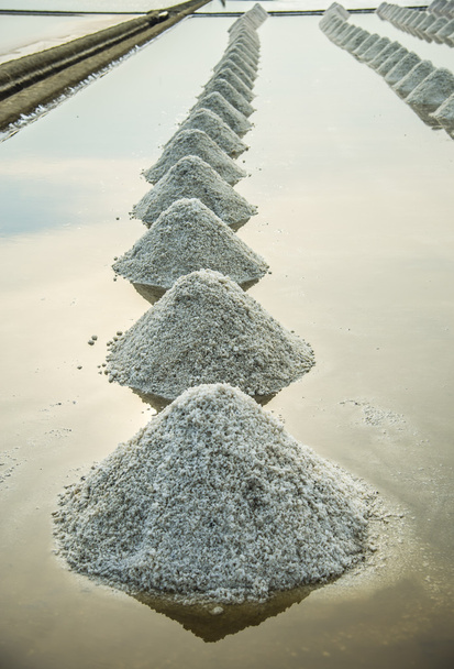 Ряд соли на соляной ферме 1
 - Фото, изображение
